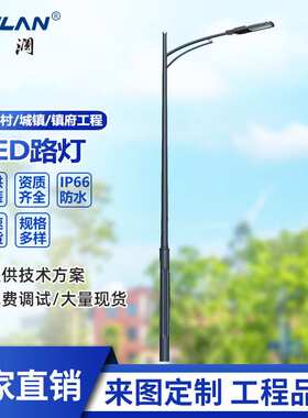 LED市电路灯单双臂6米8米10米12米路灯30W60W80W100W道路照明灯