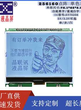 256160G-910-PL液晶显示模块256160点阵液晶屏模块3.2COG液晶模块