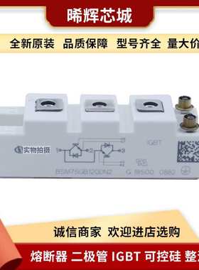 BSM30GD60DLC BSM30GD60DLC E3224 功率半导体igbt电子元器件