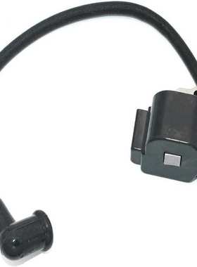 点火线圈高压包适用于753-05301 753-05243 753-05410