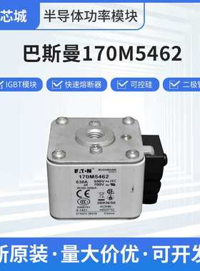 巴斯曼170M5462新能源熔断器