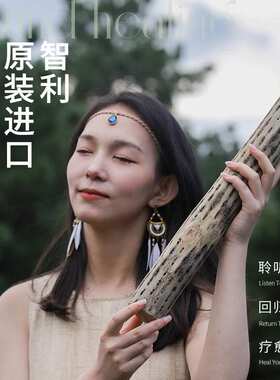雨棍智利仙人掌雨棒雨声器雨声筒民族乐器代发rain sticks