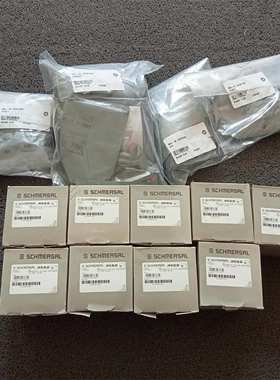 SCHMERSAL施迈赛Schmersal 安全继电器BPS 260-2订货号101184396