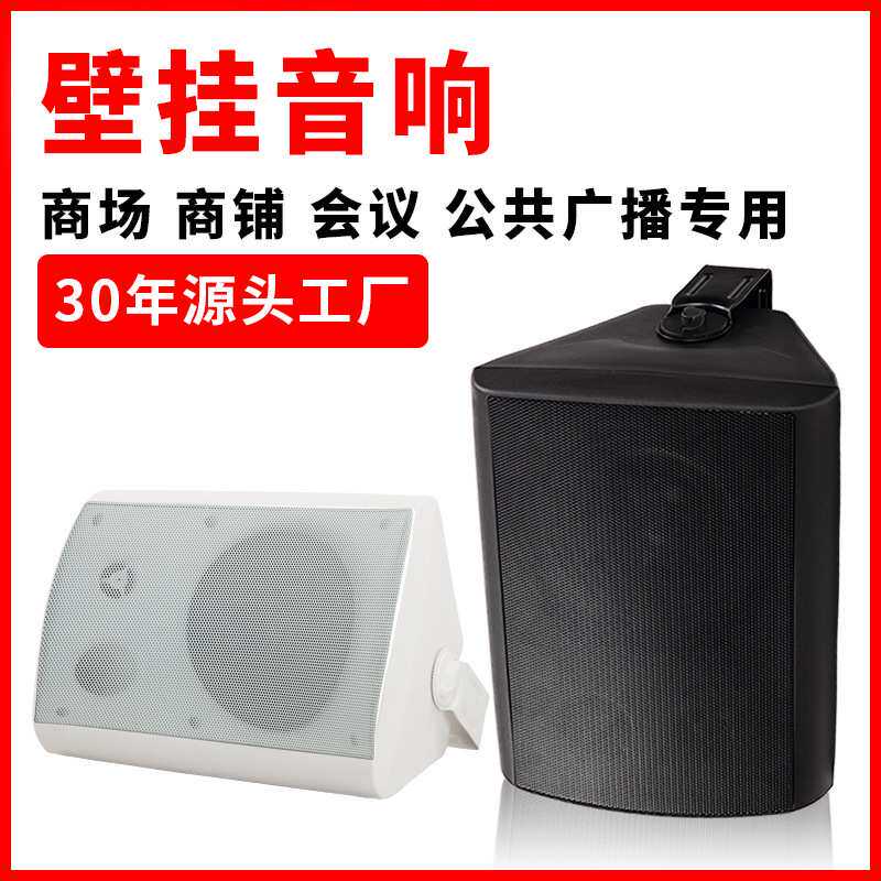 定阻/定压/蓝牙壁挂音箱 公共广播门店超市商场会议商用 壁挂音箱