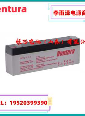 原装西班牙VENTUR 蓄电池HR12870  数据中心  发电站  储能设备用