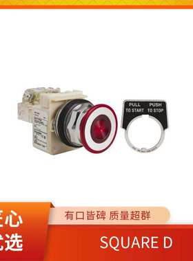 SQUARE D 开关指示灯按钮 9013FSG49J99 电子元器件