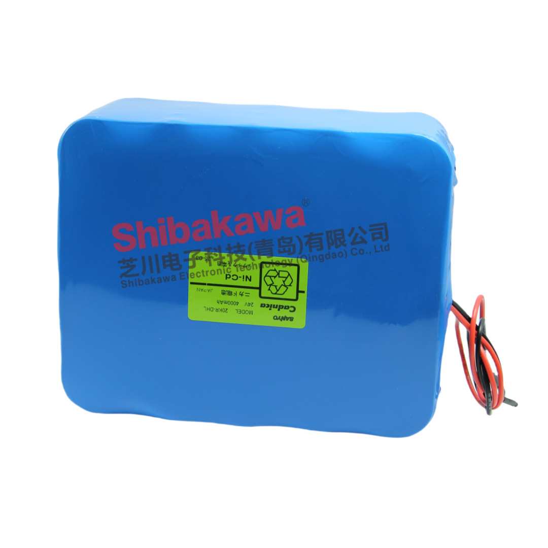 20KR-DHL 镍氢电池组 24V 4000mAh 充电型电池组 KR-DHL