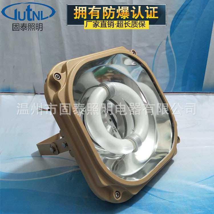 SBD1130-YQL200防爆无极灯 免维护防爆泛光灯200W/ 250W/ 300W