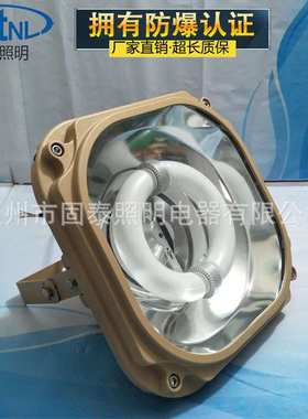 SBD1130-YQL200防爆无极灯 免维护防爆泛光灯200W/ 250W/ 300W