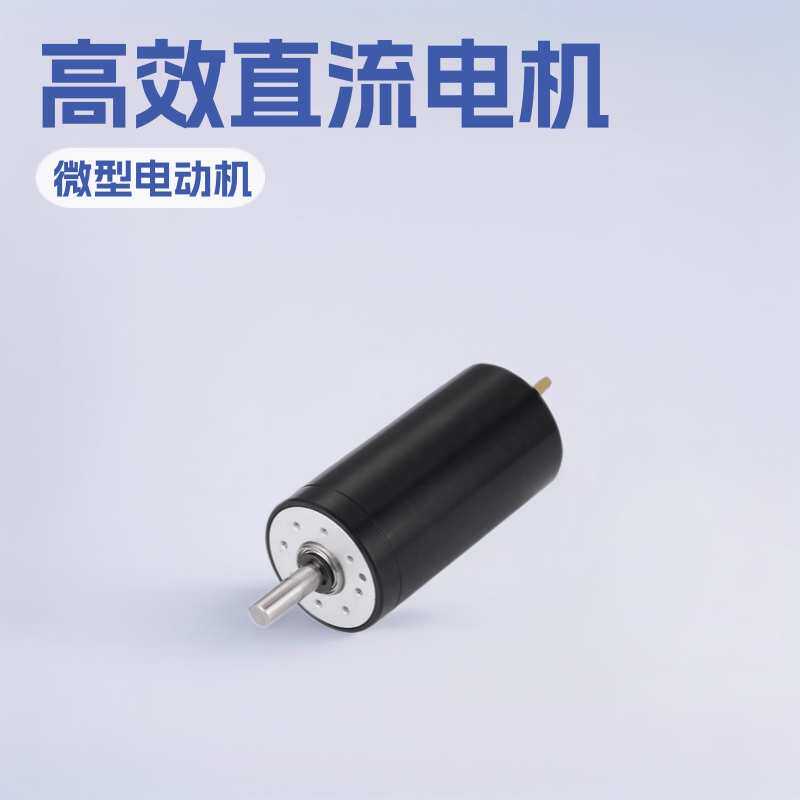 空心杯电机2655空心杯马达直流减速电机有刷马达微型伺服工厂