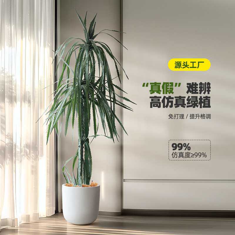 龙血树仿真绿植室内沙漠造景装饰软胶多头龙舌兰龙须树假植物盆栽