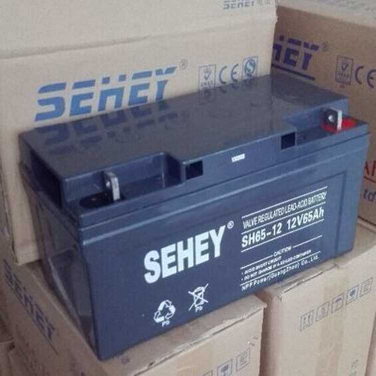 西力蓄电池SH65-12 12V65AH太阳能光伏发电直流屏免维护电瓶