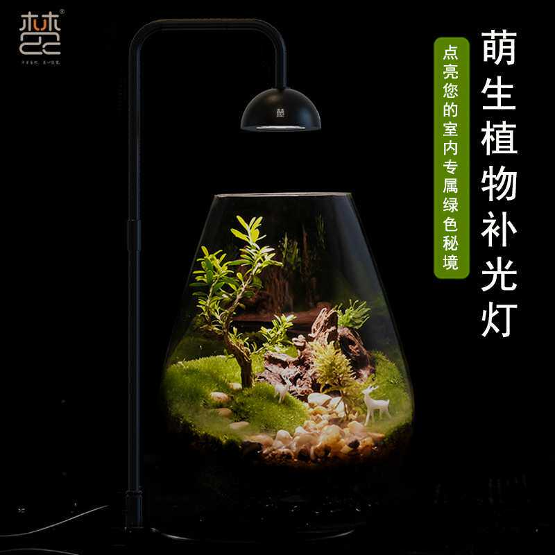 萌生植物 微景观灯 生态瓶造景 苔藓 鱼缸水族 全光谱蕨类 补光灯