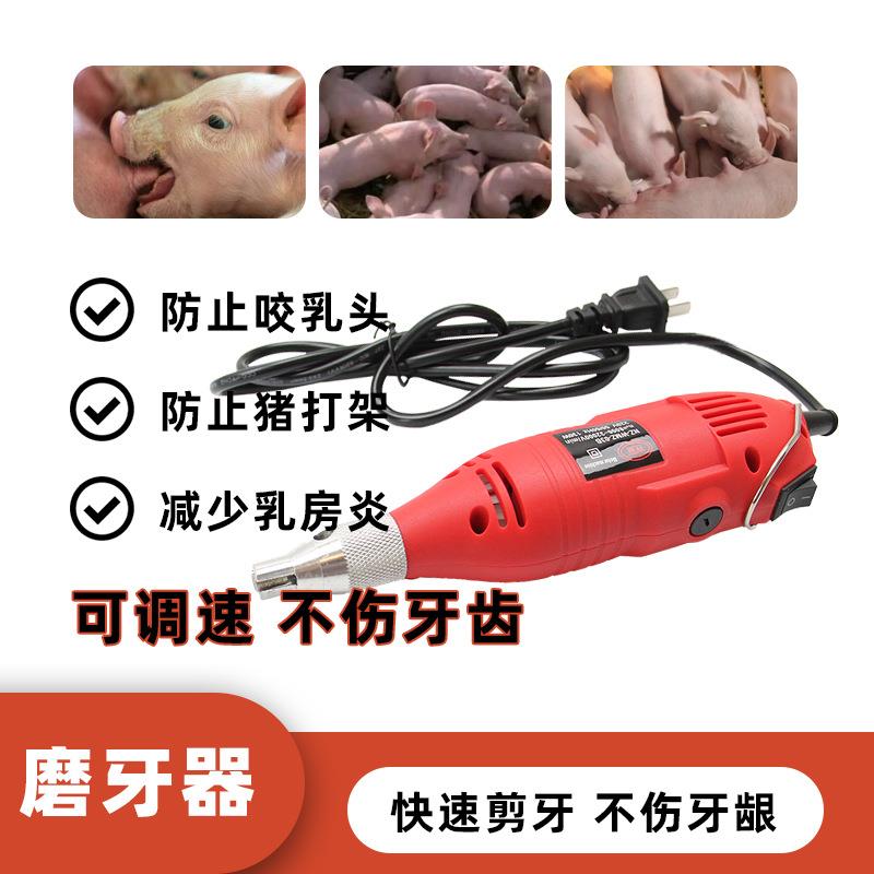 仔猪电动无线磨牙棒畜牧厂家小猪磨牙器宠物磨牙器械猪仔用磨牙器