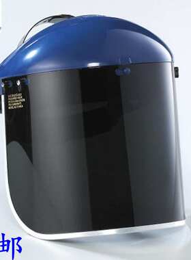 BLUE EAGLE蓝鹰抗紫外线安全面屏防液体泼溅B1BL+FC48G5 遮光面屏