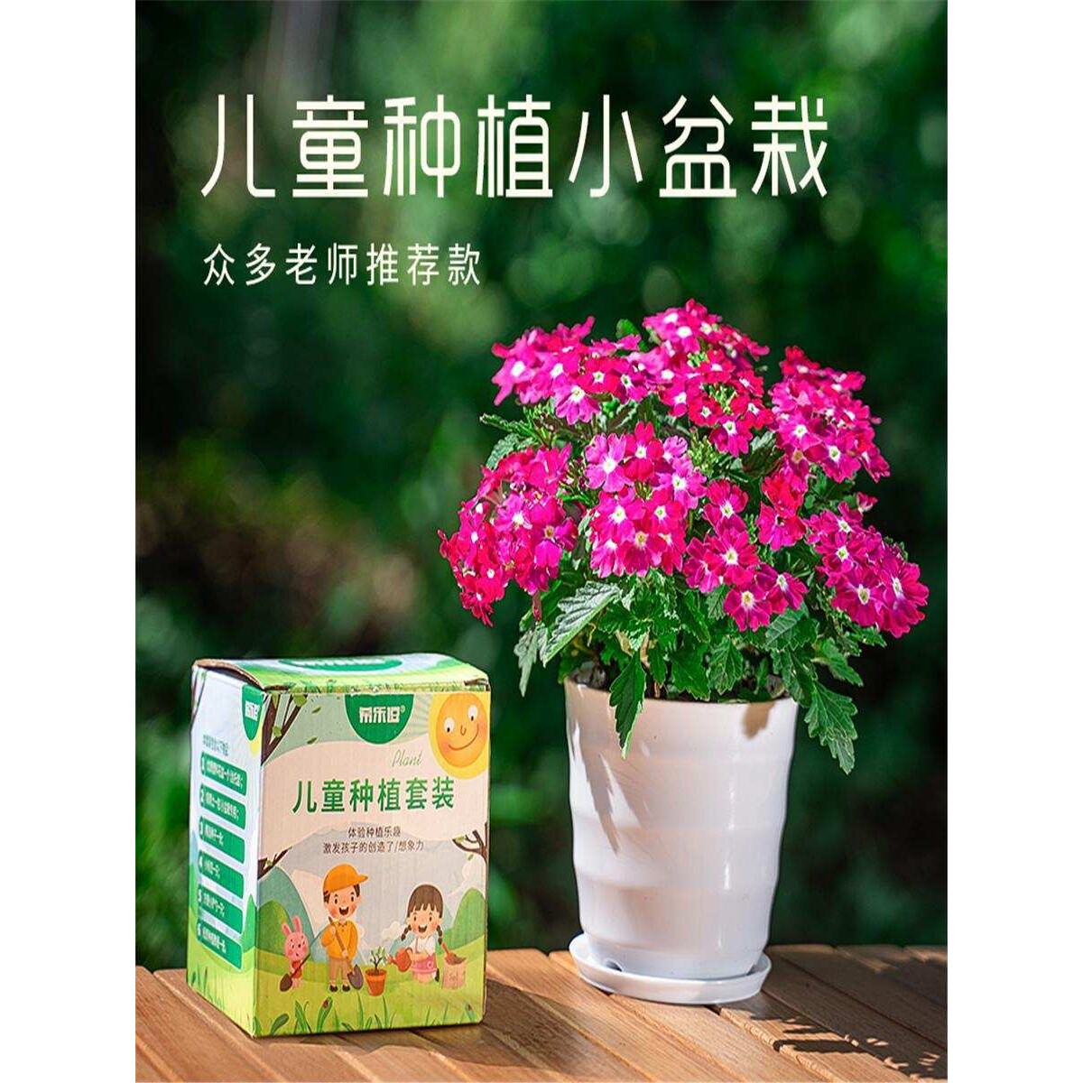 儿童植物种植观察小盆栽凤仙花种籽小学生实验草莓向日葵生长套装