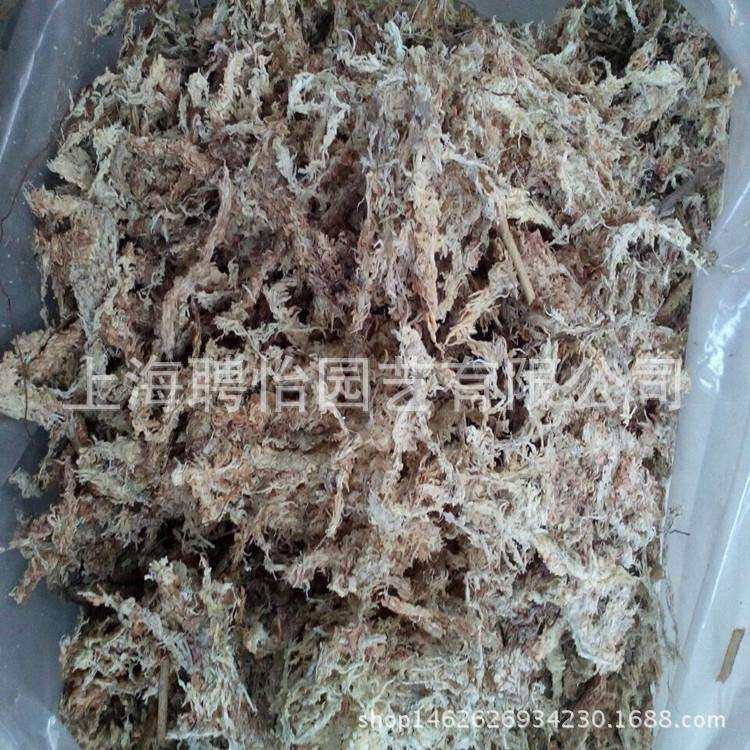 干水苔 苔藓兰花栽培基质 乌龟冬眠专用垫材1千克