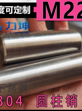 304不锈钢圆柱销钉定位销钉固定销GB119M22*40*42*45*50*60*135