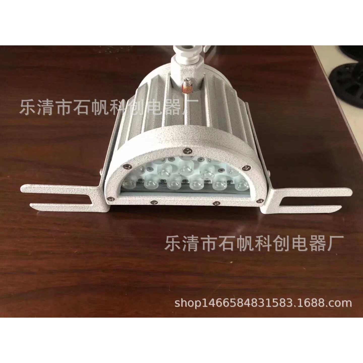 30WLED防爆视孔灯 视镜射灯 DC24V反应釜防爆灯