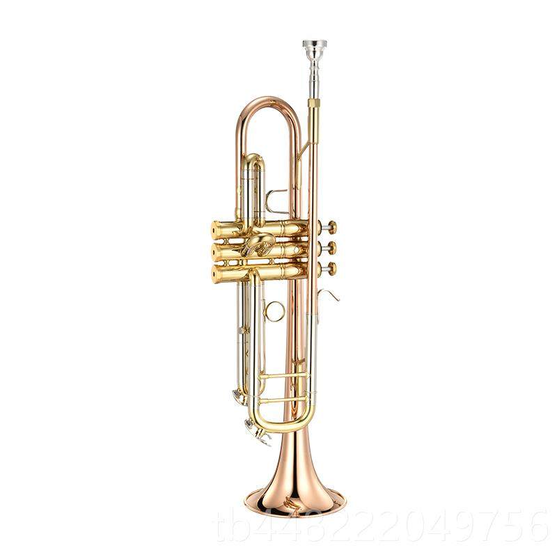 正品演新宝乐器铜管小号乐器T黄铜降B调按键考级用R奏500P型磷铜