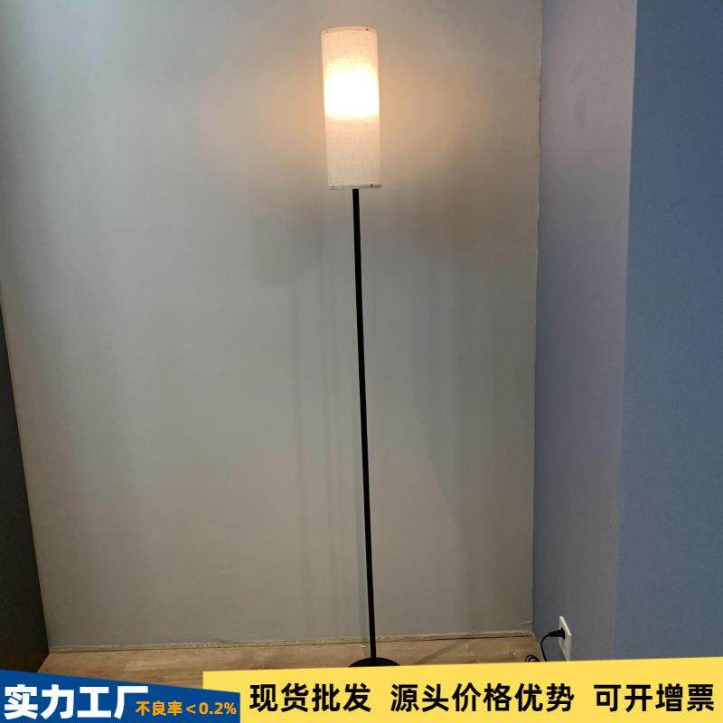 跨境现代简约LED落地灯加长款酒店家居装饰带灯泡遥控变色落地灯
