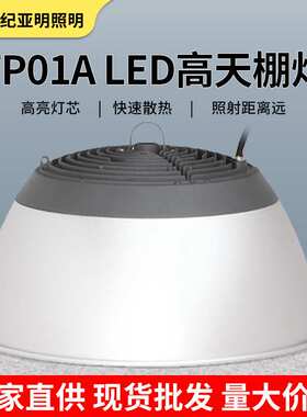 亚牌TP01A LED高天棚灯 100/150/200W厂房车间照明灯具圆形吊灯