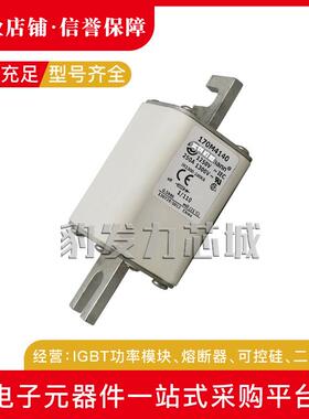 170M4108 170M4109 170M4110 170M4111 170M4112 170M4113熔断器
