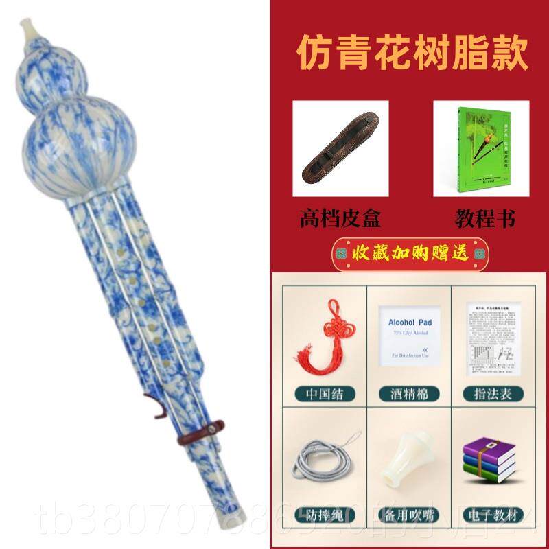 高档葫芦学丝乐器成人初者胡c调降调儿b童入门中小学生零基础防摔