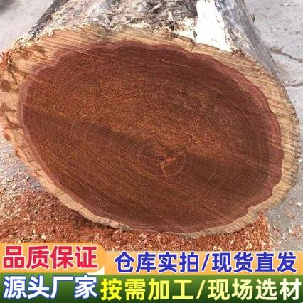 刚果花梨 西非花梨 南美白酸枝 白酸枝 原木板材 阔扁豆 南美酸枝