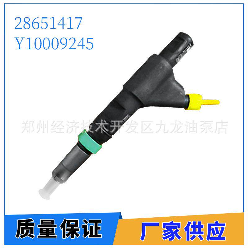 共轨喷油器28651417 Y10009245 适用于德尔福云内动力 喷油嘴总成