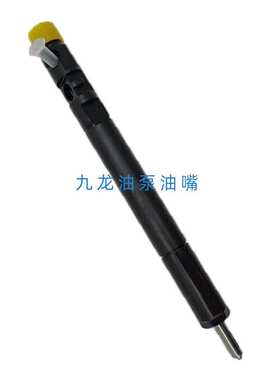 德尔福喷油器EJBR05501D喷油嘴总成5501D