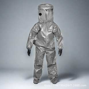 雷克兰 CT3S400G 凯麦斯3外接供气式式防护服