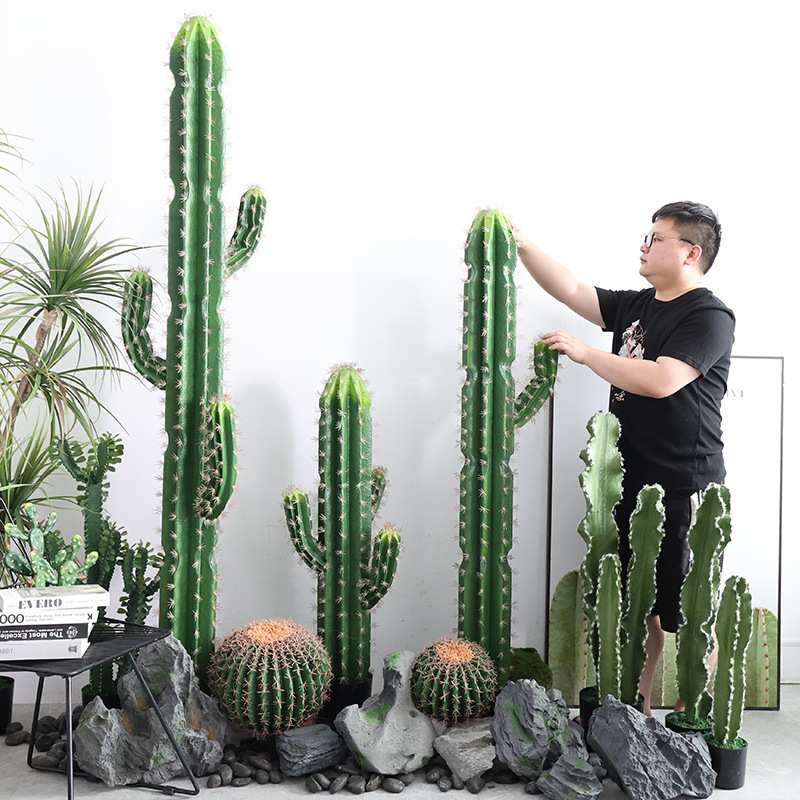 室内场景橱窗装饰摆件大型植物北欧仙人柱假绿植仙人球仿真仙人掌