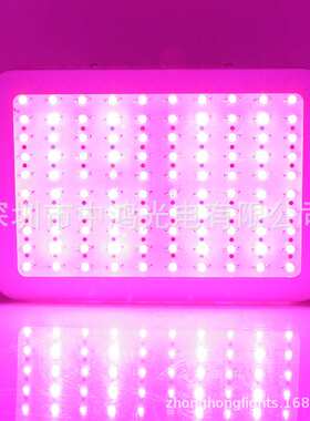 300WLED植物灯多肉花类补光果蔬大棚种植生长灯LEDlight高光效