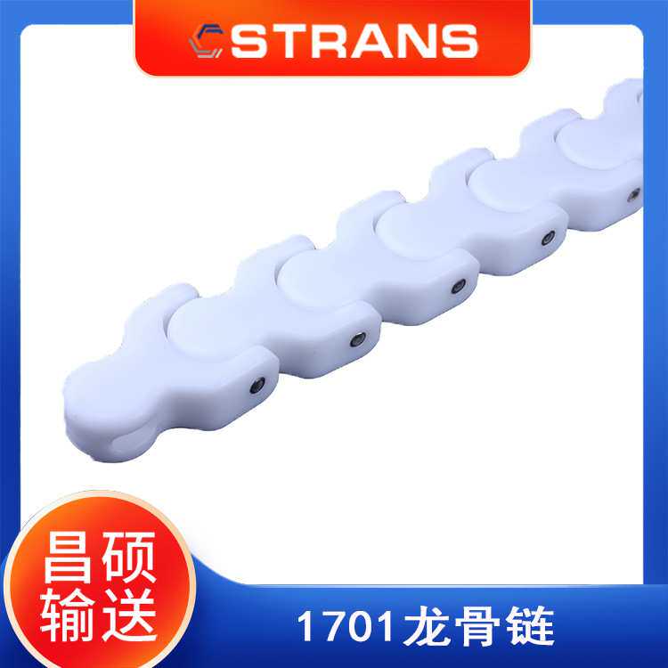厂家直供 1701龙骨链输送线配件 链条输送 纸盒纸箱输送 双排输送
