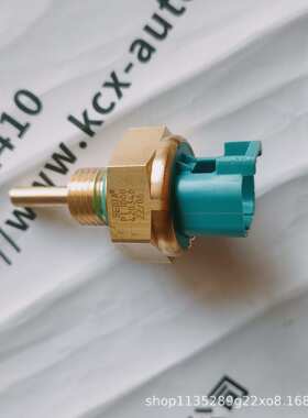 贝迪亚BEDIA 温度传感器 PT1000 ，420346