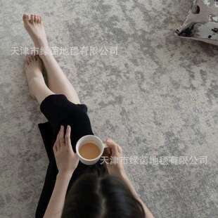 土耳其丙纶客厅地毯高级灰色沙发茶几毯极简现代轻奢满铺卧室毯