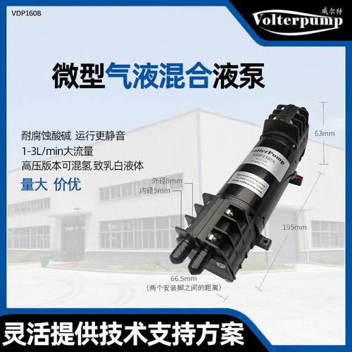微型水泵液泵VDP330DL强自吸双头直流水泵低噪音大流量高压混氢泵