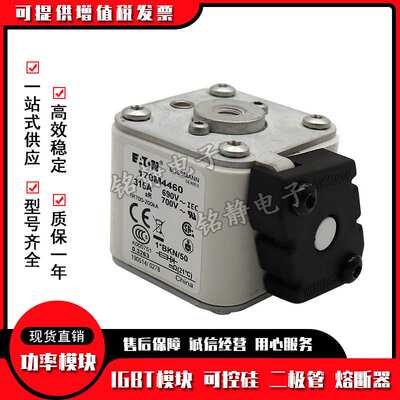 170M4514 170M4515 170M4516 170M4517 170M4518熔断器170M4519