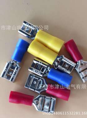 厂家 FDD2-250 母预绝缘端头 6.3护套插簧