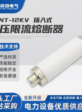 插入式高压限流熔断器XRNT-12KV150-200A高分断能力熔丝