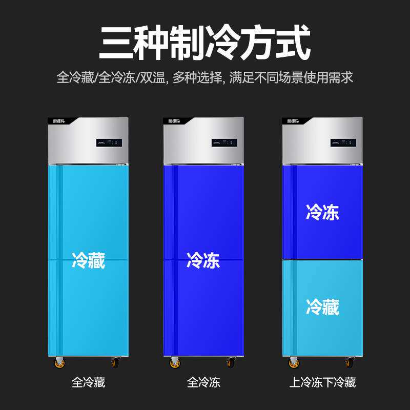 双门冷柜 冷藏冷冻双温保鲜柜大容量低耗节能双门不锈钢厨房冰箱