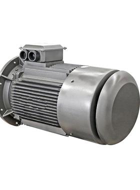 鸿泰低压大外圆电机tYE4-3553-8t315KWt380V/660Vt密封设计良好