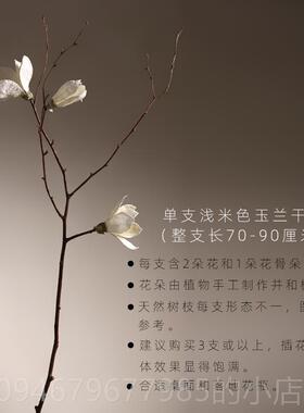 正品客厅落地天然兰干 装干燥树枝干 干燥花花束干支干 干树玉枝