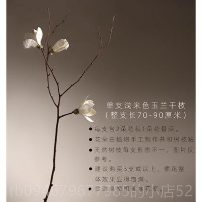 正品客厅落地天然兰干 装干燥树枝干 干燥花花束干支干 干树玉枝