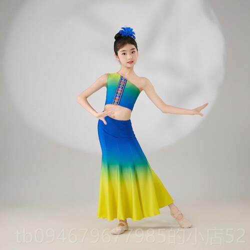 正品新款儿童鱼傣族服装演出服装幼儿尾练习舞裙孔雀舞艺考服族民