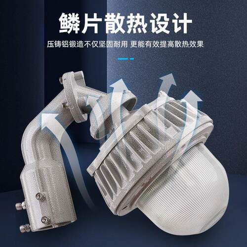 40W50W60W70W LED防爆工厂灯LED防爆护栏灯法兰灯 防爆平台灯