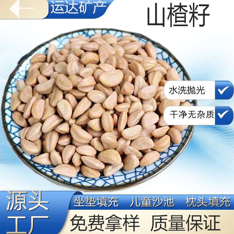 厂家现货供应山楂籽 坐垫枕头填充物儿童沙池填充干净新货水洗抛