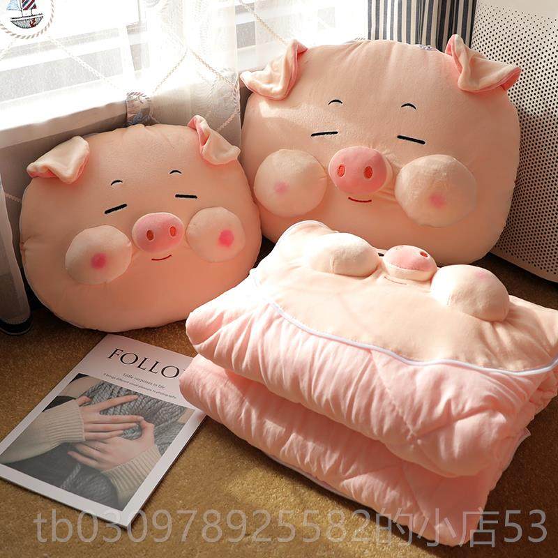 高档小抱枕被子两用午休靠加枕办公猪室午睡枕头空调毯子合一车二