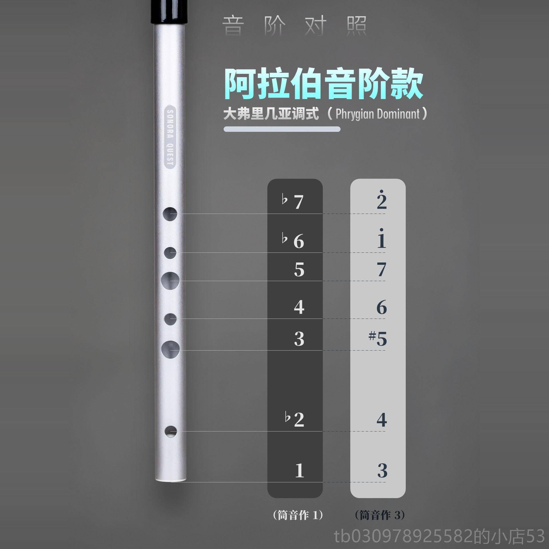 高档SONORA笛QUEST哨阿拉伯阶调 式风格D自然大调省气抗音压高亢